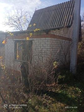 , Белгородская область