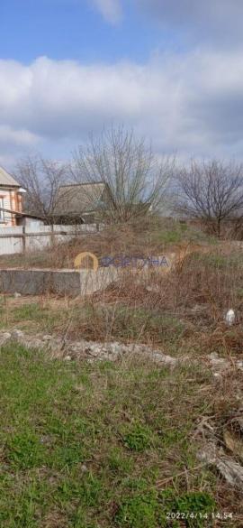 , Белгородская область