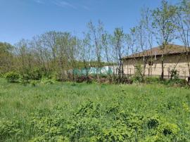 , Белгородская область